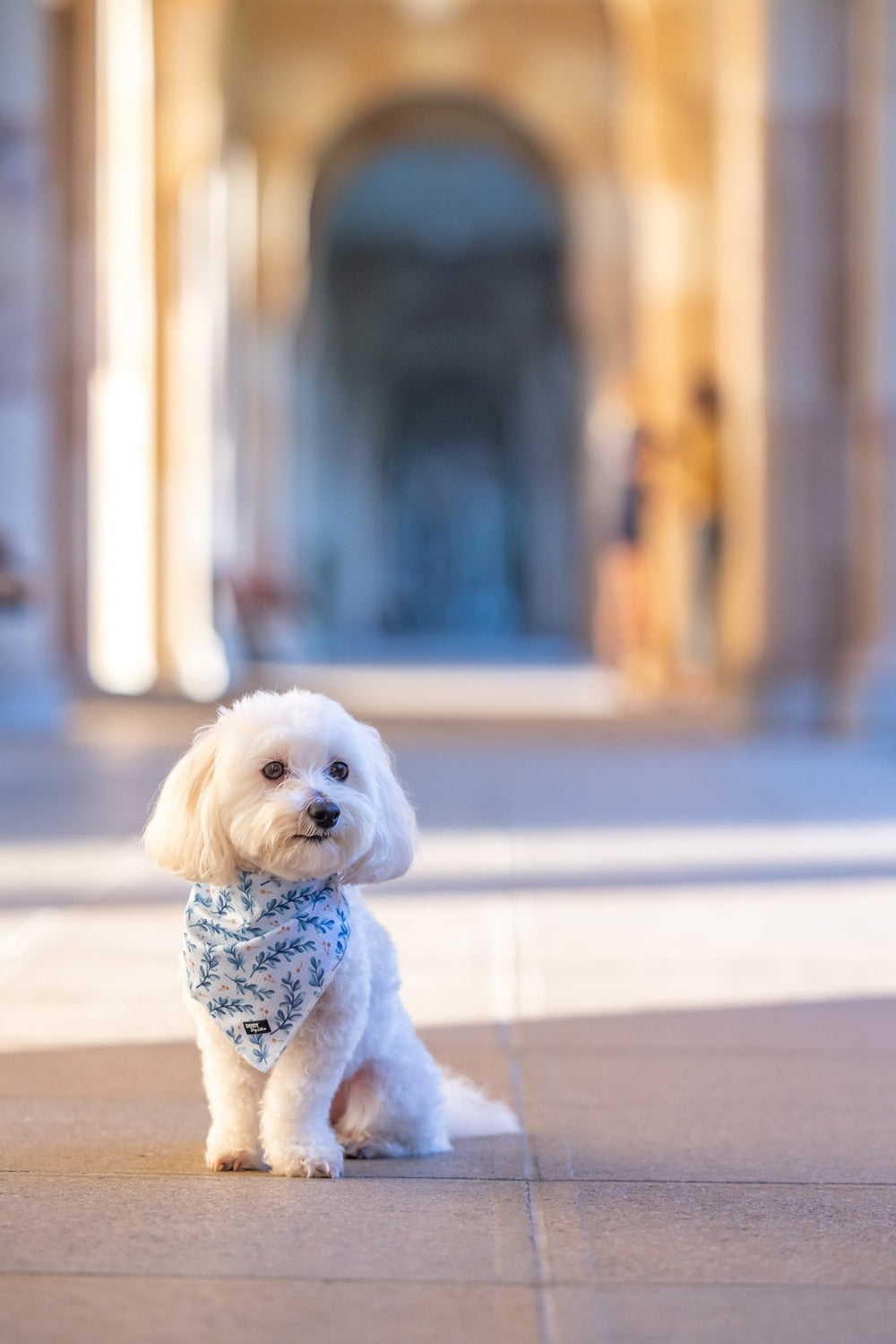 Bandana | Tie Up Dog Bandana | Little Lou-Dizzy Dog Collars