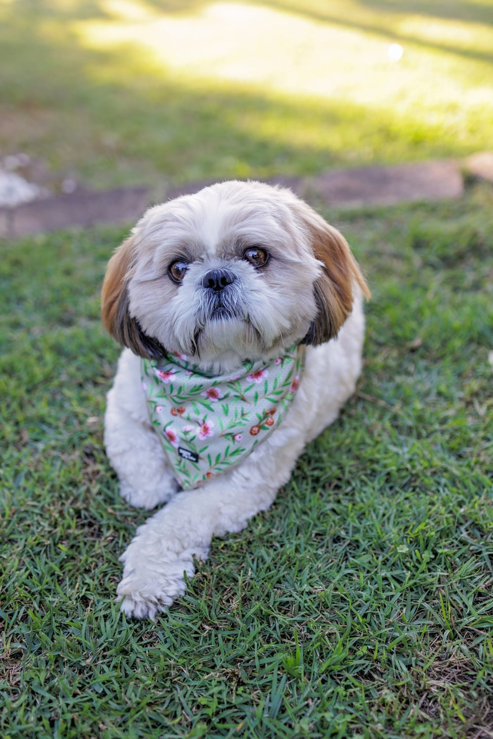 Bandana | Tie Up Dog Bandana | Manuka-Bandana-Dizzy Dog Collars