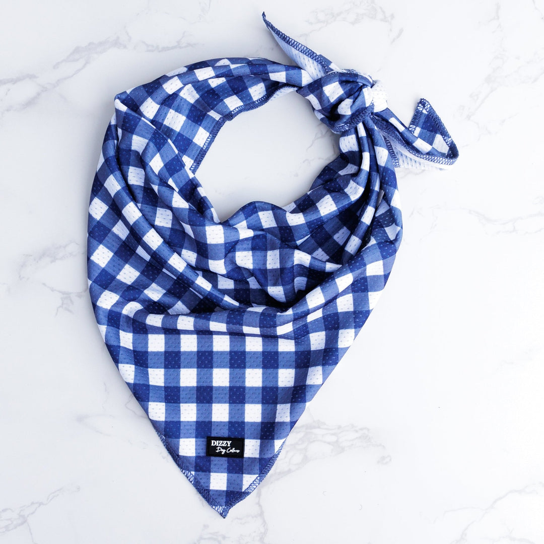 Bandana | Tie Up Dog Bandana | Navy Gingham-Bandana-Dizzy Dog Collars