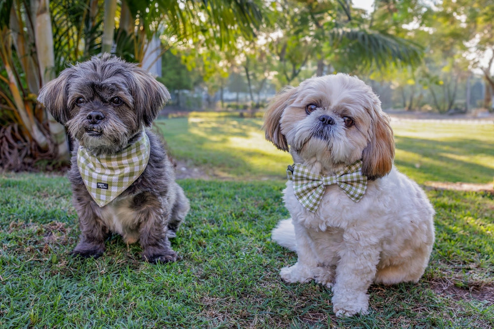 Bandana | Tie Up Dog Bandana | Olive Gingham-Bandana-Dizzy Dog Collars