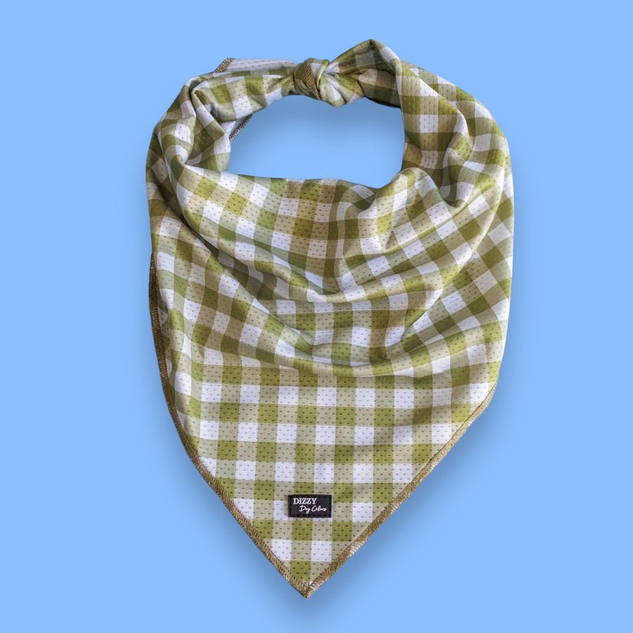 Bandana | Tie Up Dog Bandana | Olive Gingham-Bandana-Dizzy Dog Collars