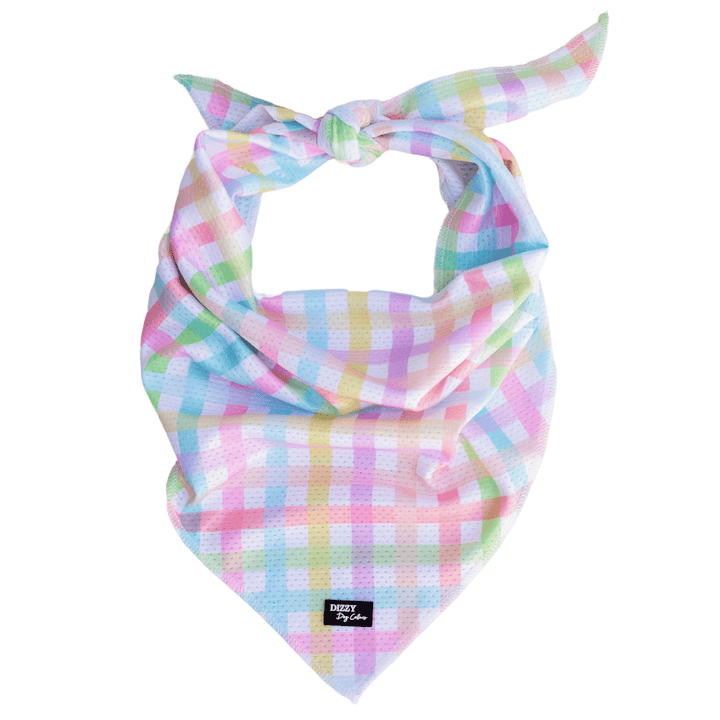 Bandana | Tie Up Dog Bandana | Sherbet Gingham-Bandana-Dizzy Dog Collars