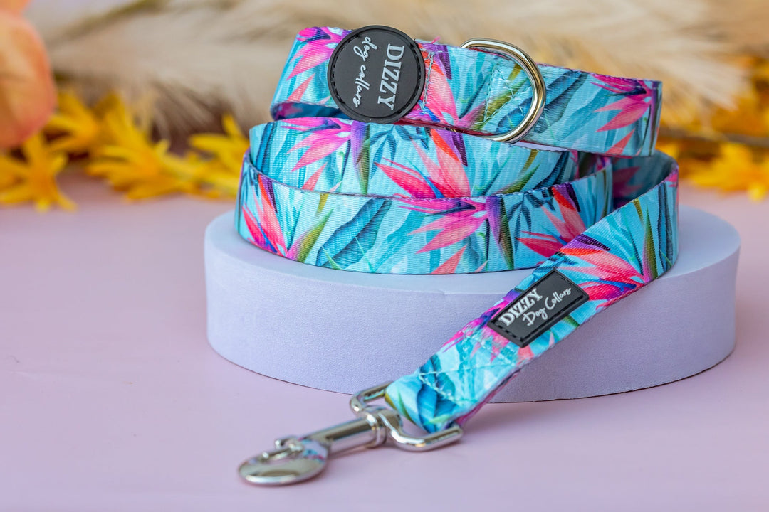 Birds of Paradise Dog Leash | Dog Lead-Dizzy Dog Collars