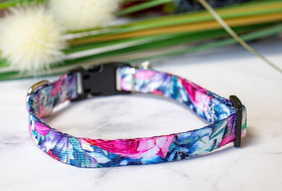 Blossom Rose Cat Collar / Toy Breed Dog Collar / Puppy Collar-Dizzy Dog Collars