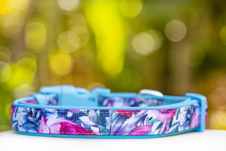 Blossom Rose Dog Collar (Premade)-Dog Collar-Dizzy Dog Collars