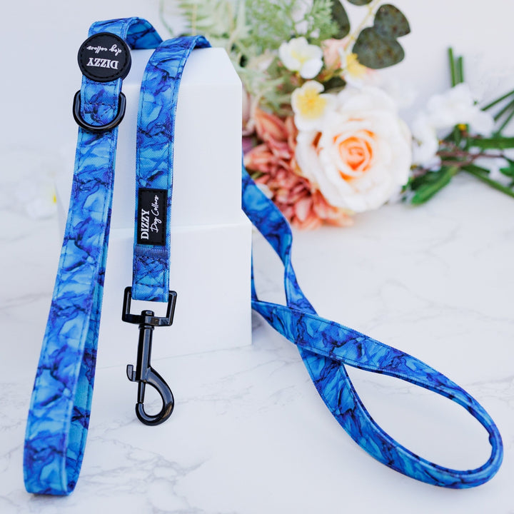 Blue Marble Dog Leash | Canvas & Neoprene | High Quality Fully Padded Leash-Leash-Dizzy Dog Collars