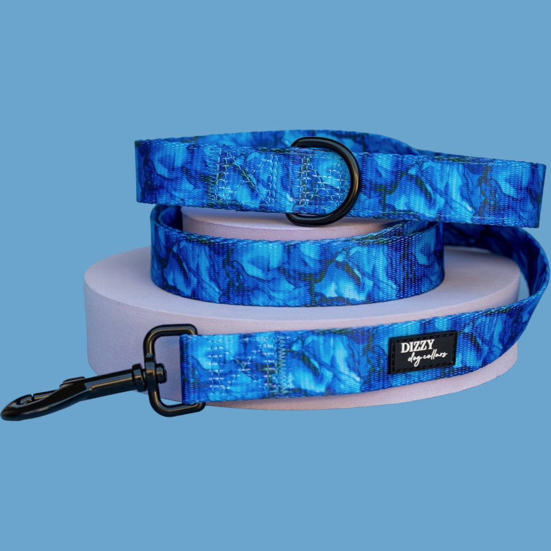 Blue Marble Dog Leash | Dog Lead-Dizzy Dog Collars