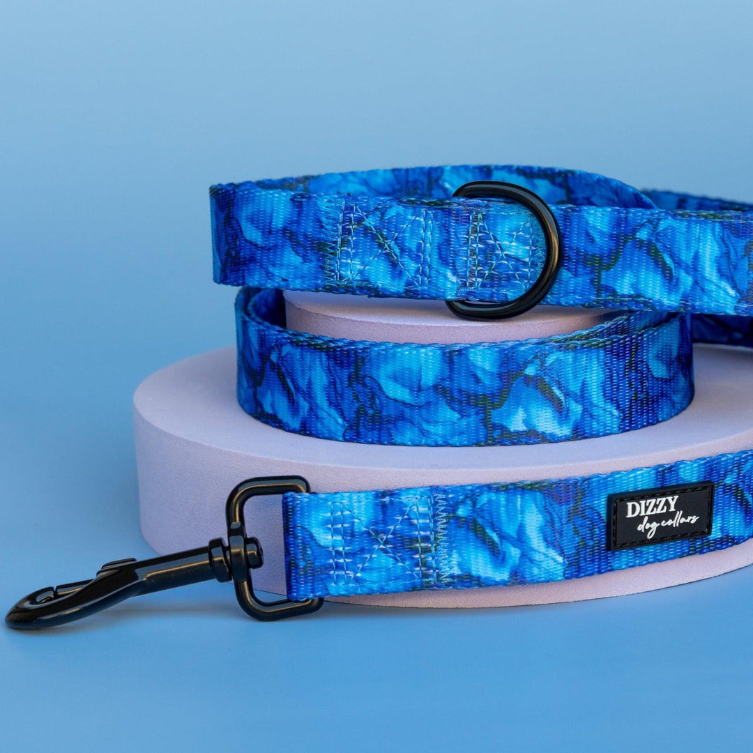 Blue Marble Dog Leash | Dog Lead-Dizzy Dog Collars