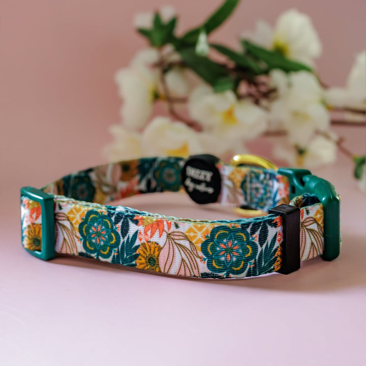 Bohemian Garden Dog Collar | Value Range Dog Collar-Dog Collar-Dizzy Dog Collars