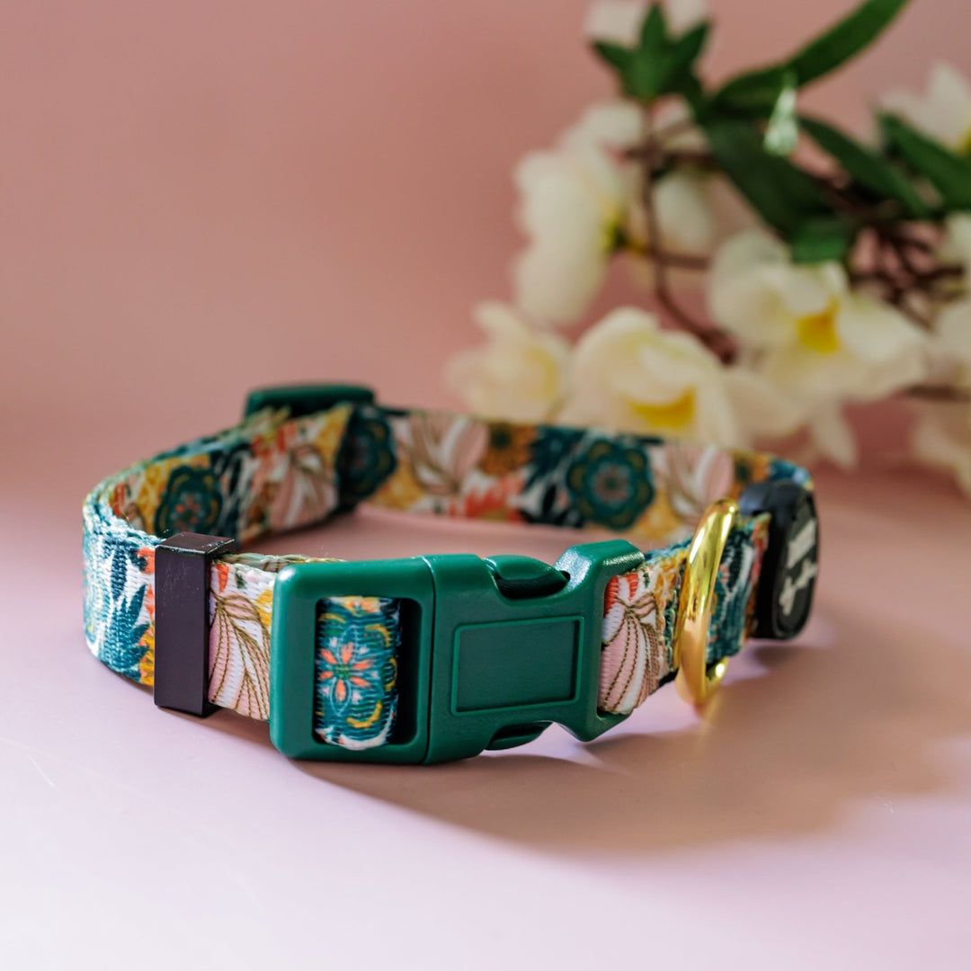 Bohemian Garden Dog Collar | Value Range Dog Collar-Dog Collar-Dizzy Dog Collars