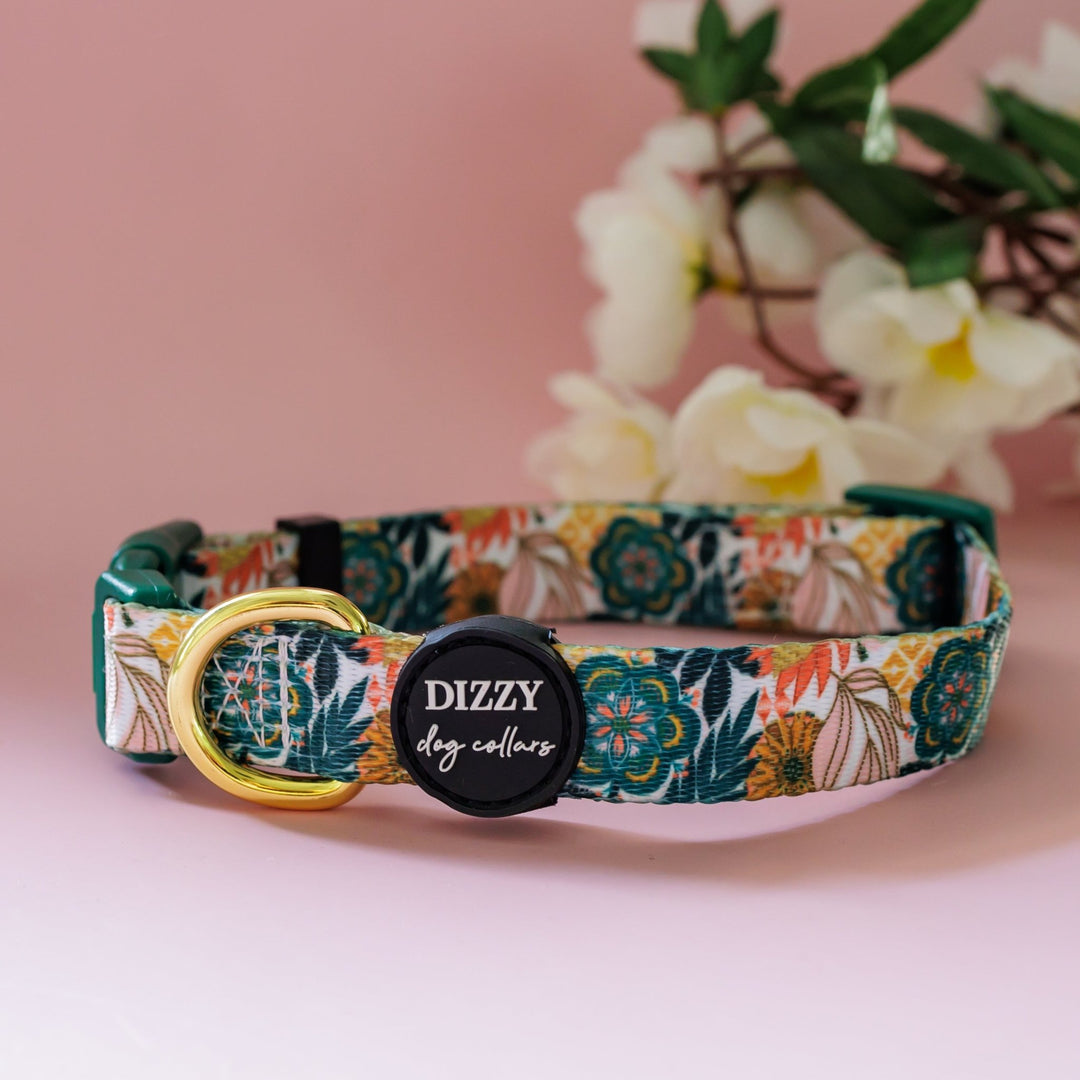 Bohemian Garden Dog Collar | Value Range Dog Collar-Dog Collar-Dizzy Dog Collars