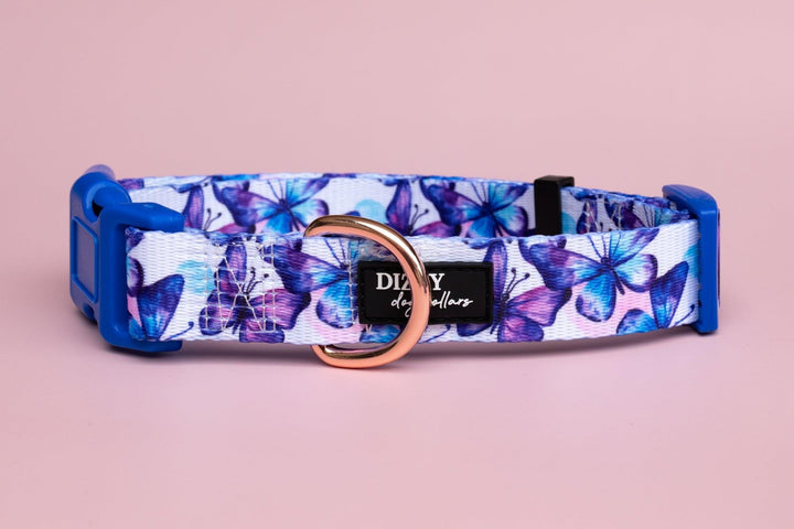 Butterfly Ballet Dog Collar | Value Range Dog Collar-Dog Collar-Dizzy Dog Collars