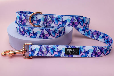 Butterfly Ballet Dog Leash | Dog Lead-Dizzy Dog Collars