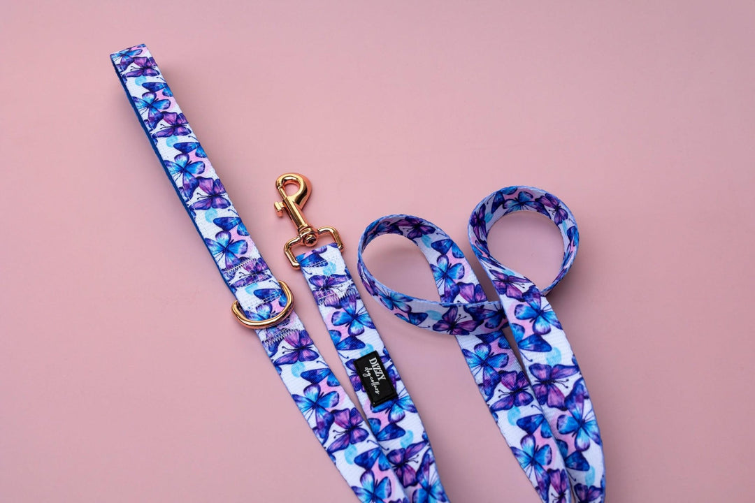 Butterfly Ballet Dog Leash | Dog Lead-Dizzy Dog Collars