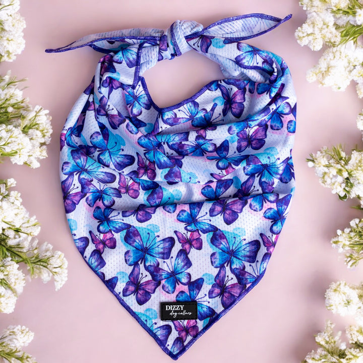 Butterfly Bandana  Description: A charming dog bandana featuring a vibrant pattern of blue and purple butterflies on a light background. The edges are neatly stitched in a matching blue thread.