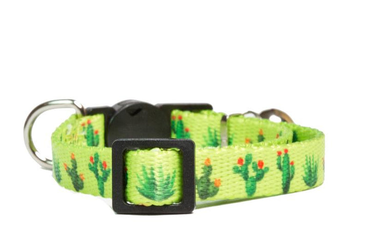 Cactus Cat Collar /Toy Breed Dog Collar-Dizzy Dog Collars-Dizzy Dog Collars