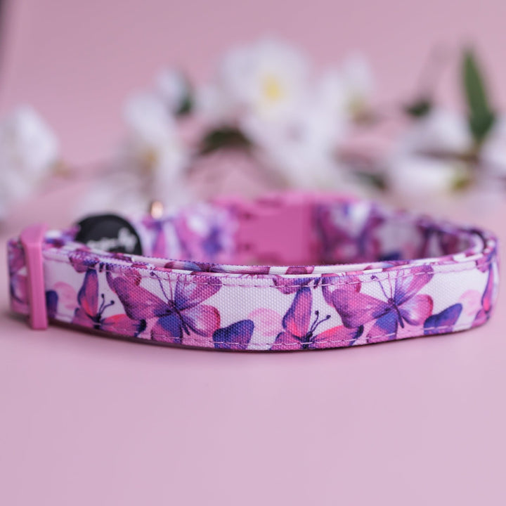 Pink Butterflies Dog Collar | Canvas & Neoprene Dog Collar-Dog Collar-Dizzy Dog Collars