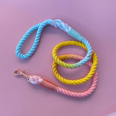 Carnival Rope Lead | Ombre Aqua, Yellow & Pink Dog Lead-Dizzy Dog Collars