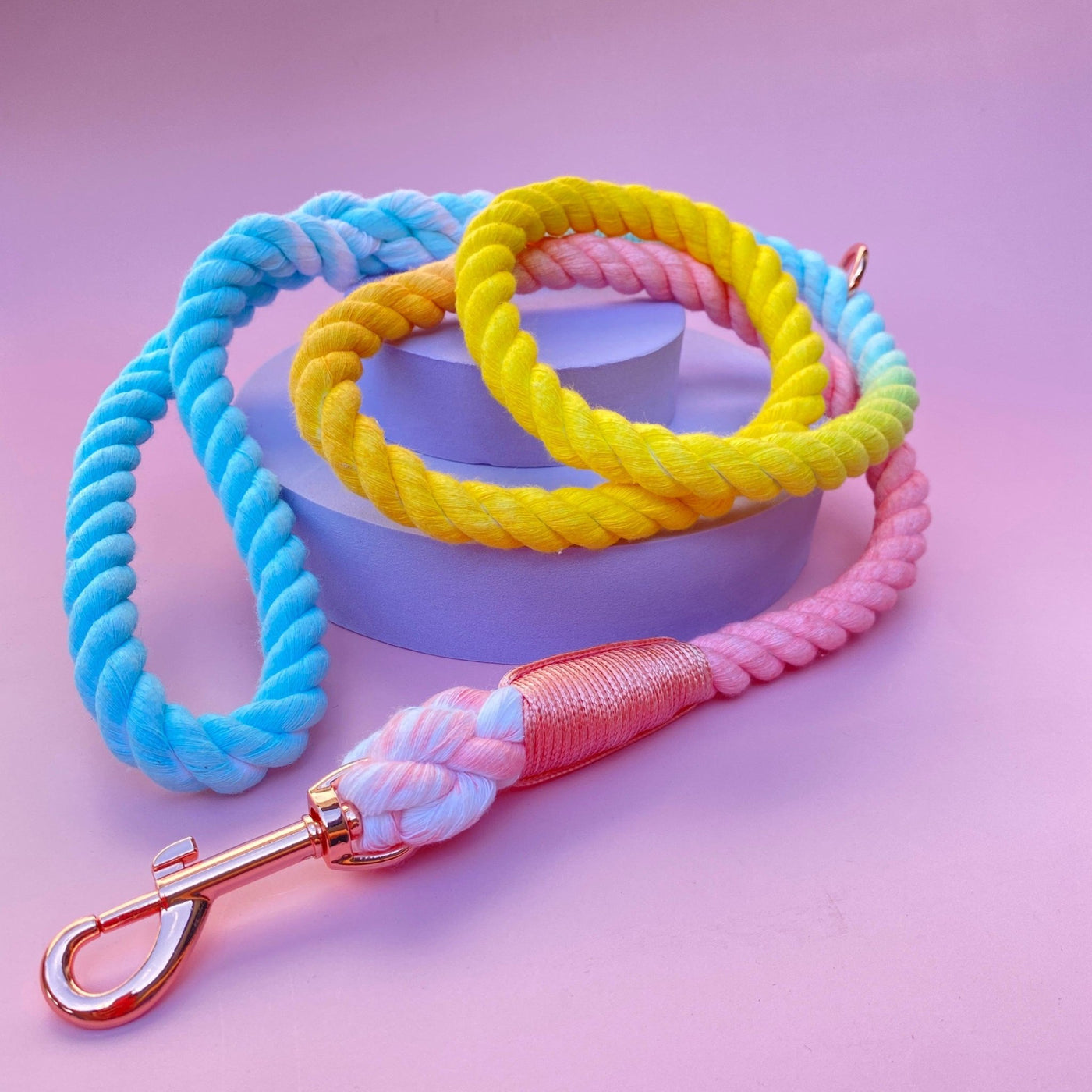 Carnival Rope Lead | Ombre Aqua, Yellow & Pink Dog Lead-Dizzy Dog Collars