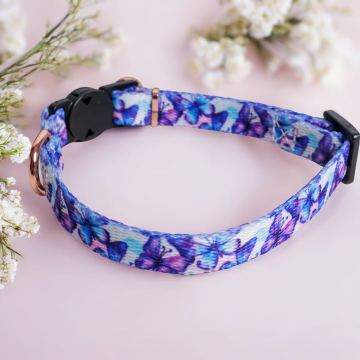 Butterfly Ballet Cat Collar | Toy Breed Dog Collar | Puppy Collar