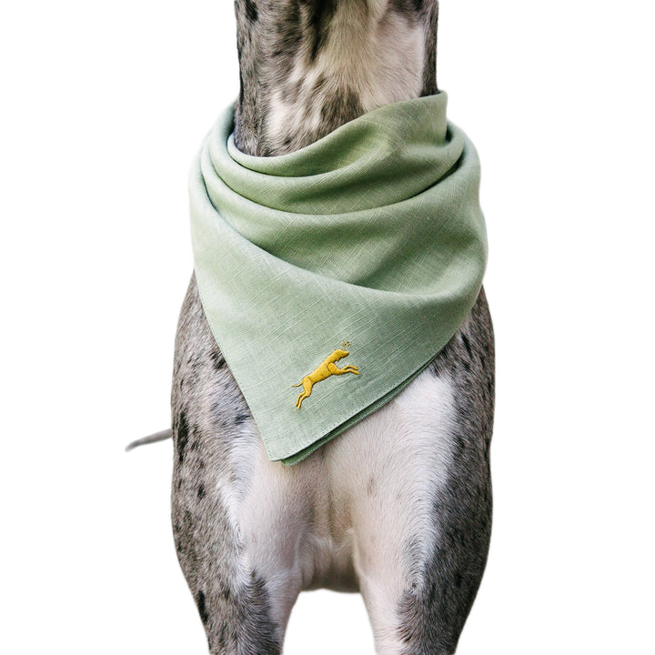 chasing winter pet green bandana