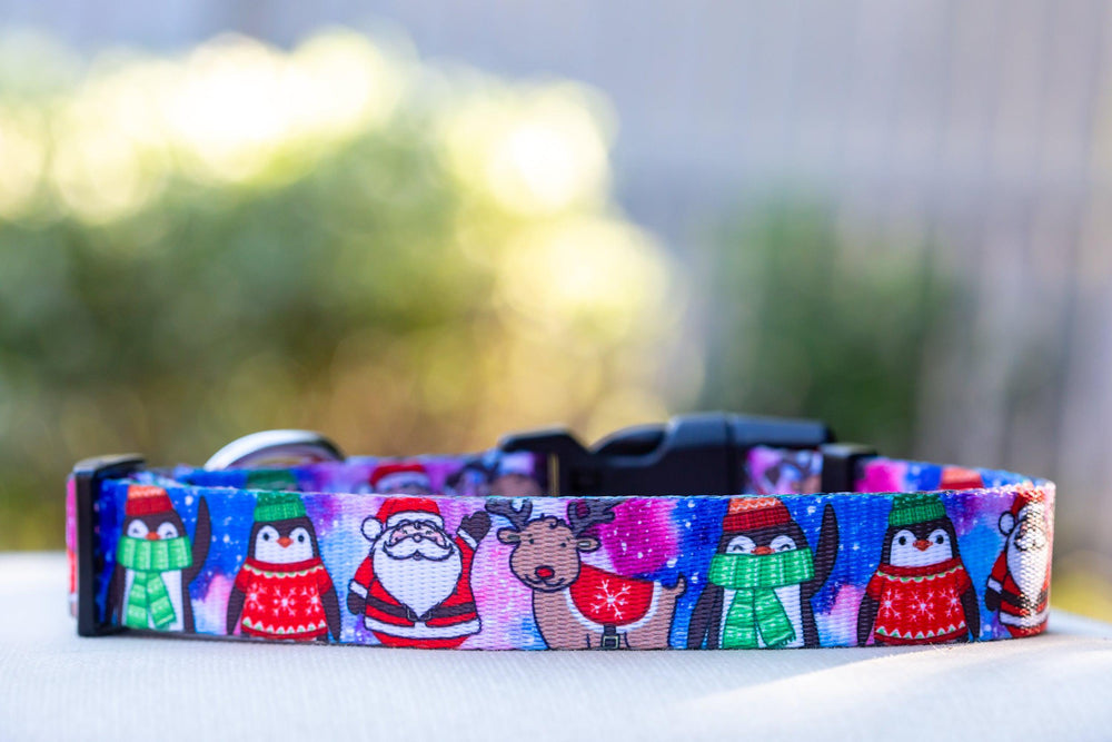 Christmas Carnival Dog Collar / Christmas Dog Collar (Premade)-Dog Collar-Dizzy Dog Collars