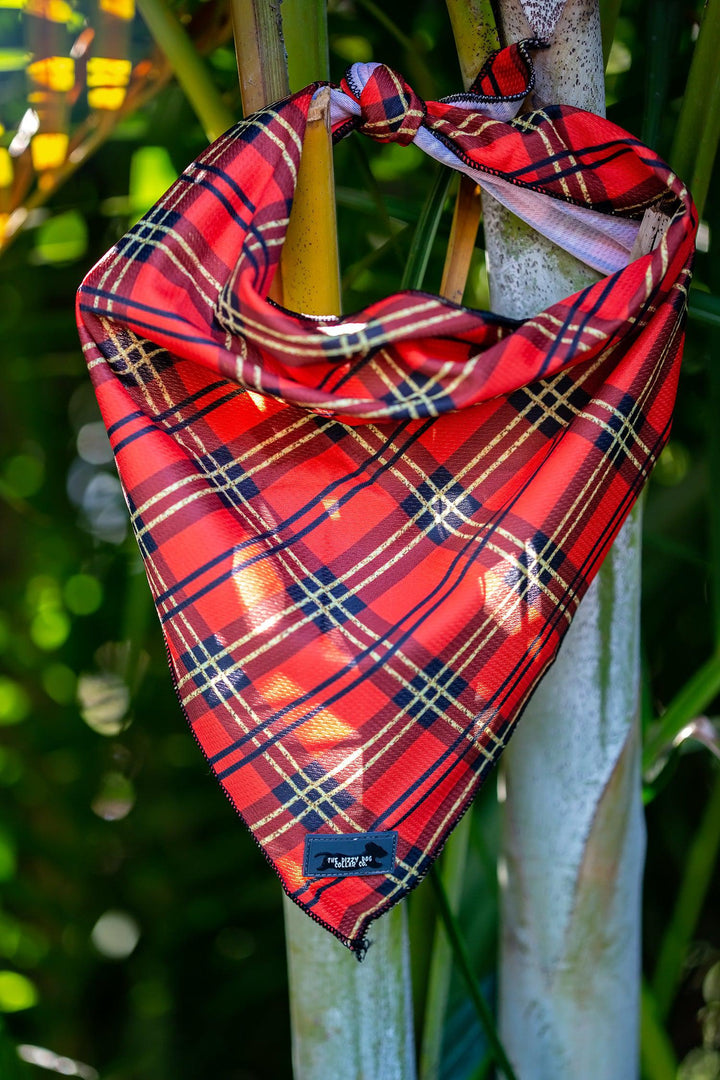 Christmas Plaid Bandana - Tie Up Dog Bandana-Dizzy Dog Collars