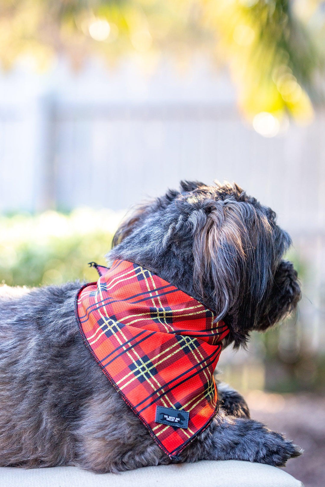 Christmas Plaid Bandana - Tie Up Dog Bandana-Dizzy Dog Collars