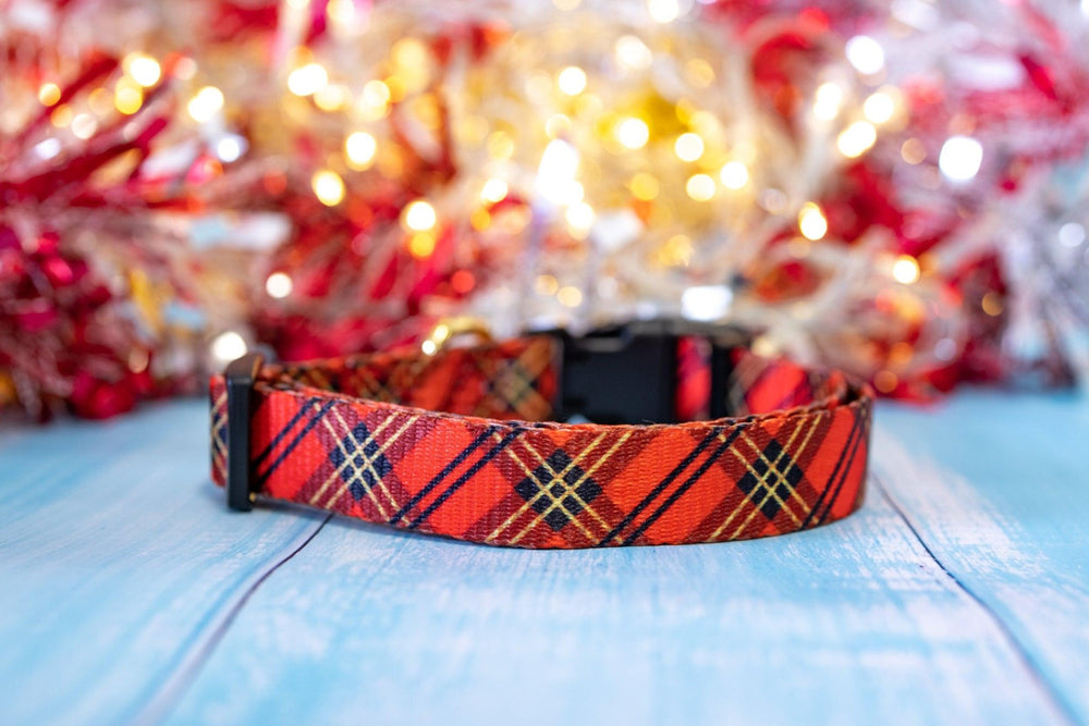 Christmas Plaid Dog Collar-Dog Collar-Dizzy Dog Collars