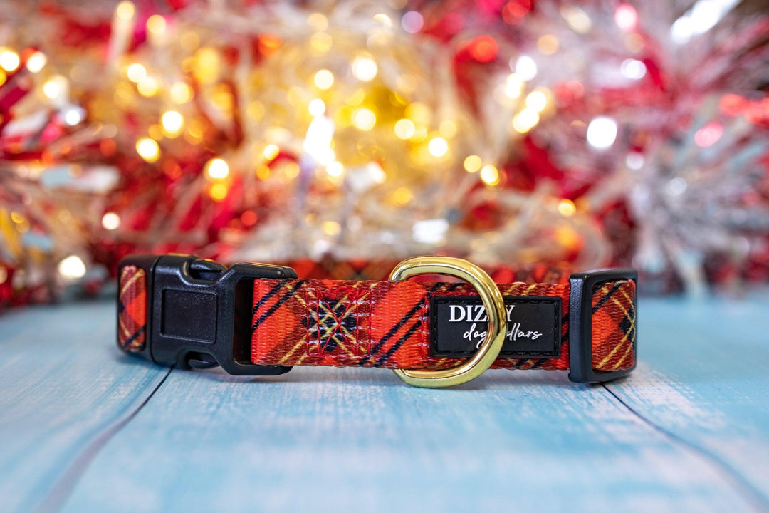 Christmas Plaid Dog Collar-Dog Collar-Dizzy Dog Collars