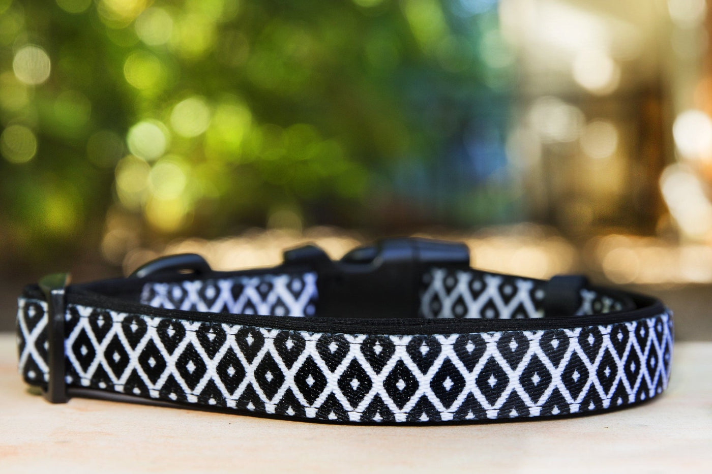 black and white dog collar