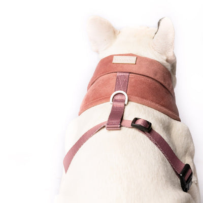 Stylish Dog Harness Australia Made From Corduroy with Bow Tie Mustard Yellow