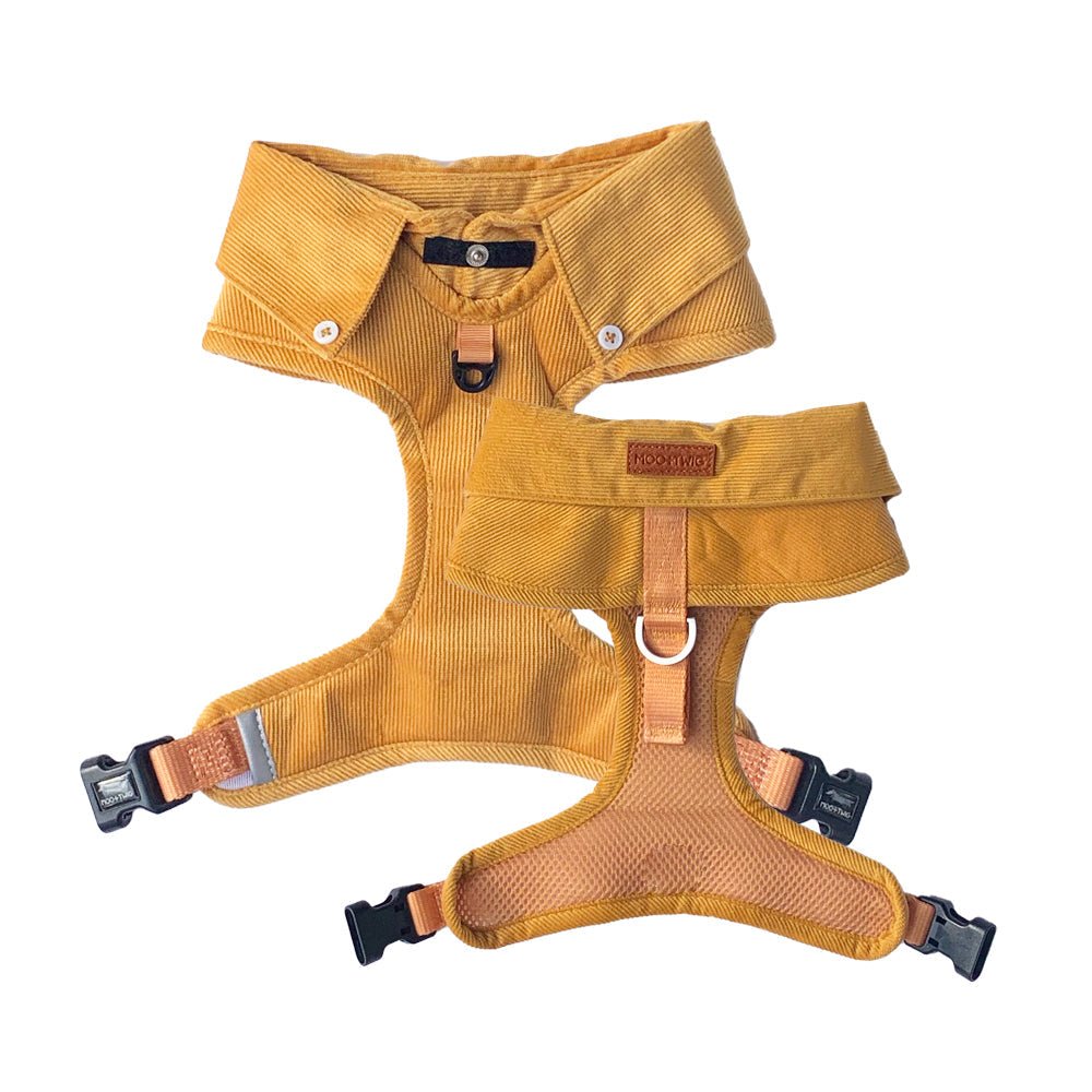 Stylish Dog Harness Australia Made From Corduroy with Bow Tie Mustard Yellow