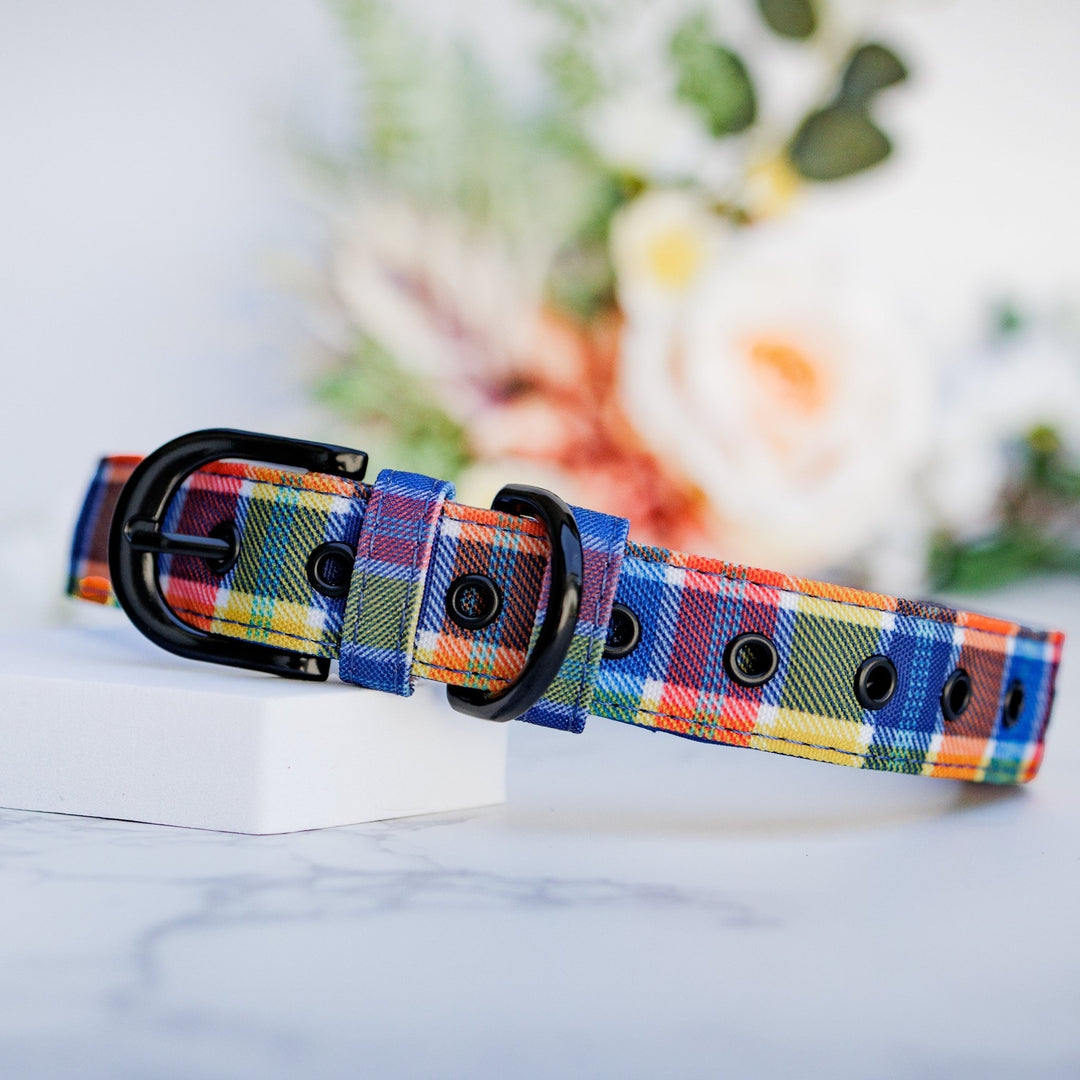 Country Plaid Belt Buckle Dog Collar | Canvas & Neoprene-Dog Collar-Dizzy Dog Collars