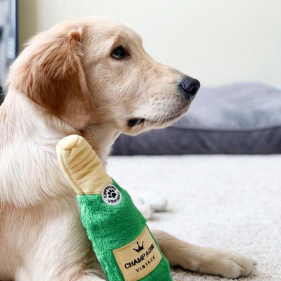 Happy Hour Crusherz – Champagne - Zippy Paws Dog Toy-Dizzy Dog Collars-Dizzy Dog Collars