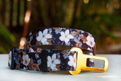 Dog Seatbelt - Midnight Cherry Blossoms-Dizzy Dog Collars