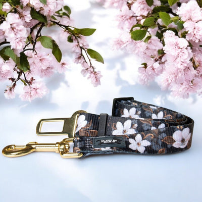 The image features a dog car seatbelt with a floral pattern of white flowers against a dark background. The seatbelt has a gold metal clasp and a buckle designed to fit into a car seatbelt receiver. It is displayed on a light surface with blooming pink cherry blossoms in the background, adding an elegant touch. The seatbelt also includes a small black label with white text that reads "The Dizzy Dog Collars Co.," showcasing the brand's identity.