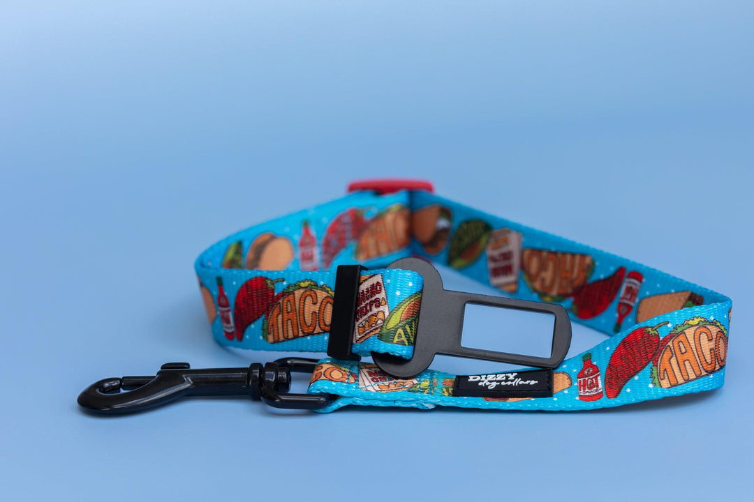 Dog Car Seatbelt | Dog Car Restraint Tether | Taco-Dizzy Dog Collars