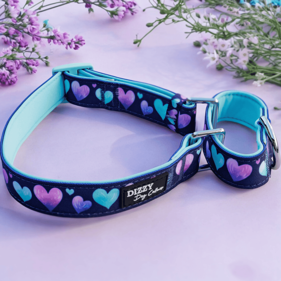 Martingale Dog Collar | Hearts & Harmony