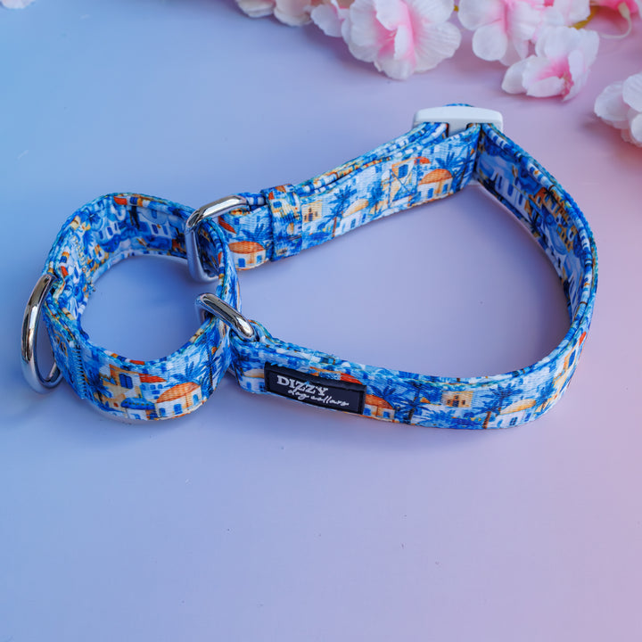 Mediterranean Magic Martingale Dog Collar