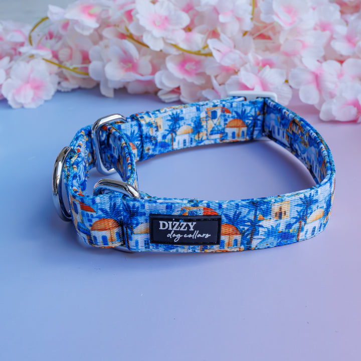 Mediterranean Magic Martingale Dog Collar