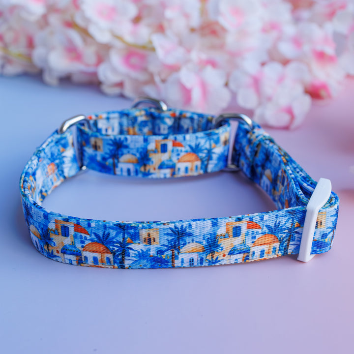 Mediterranean Magic Martingale Dog Collar