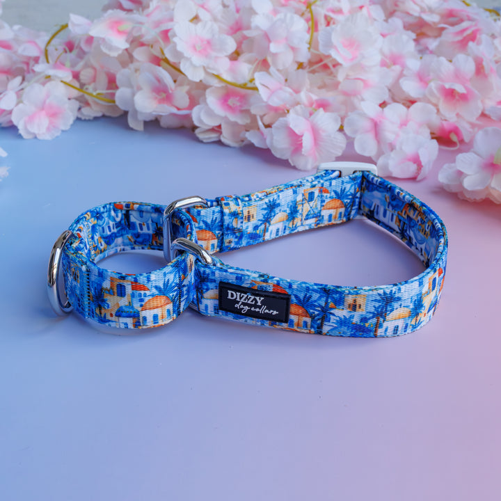 Mediterranean Magic Martingale Dog Collar