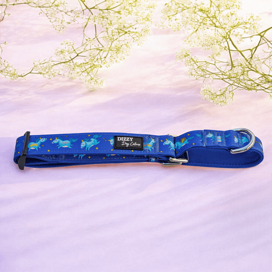 Martingale Dog Collar | Stardust: Navy Unicorns