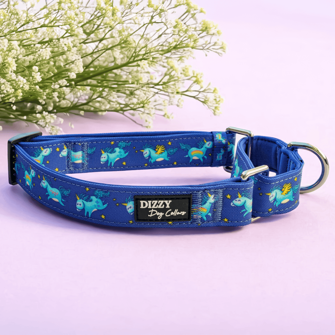 Martingale Dog Collar | Stardust: Navy Unicorns