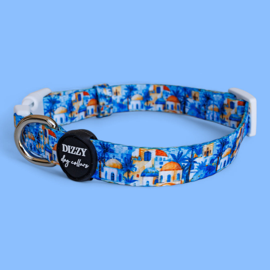 Mediterranean Magic Dog Collar | Value Range Dog Collar