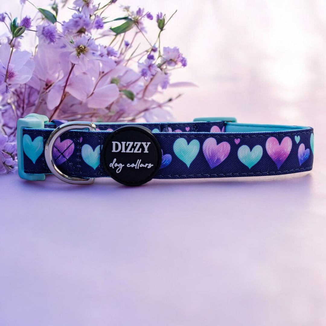 Hearts & Harmony Dog Collar | Canvas + Neoprene Dog Collar