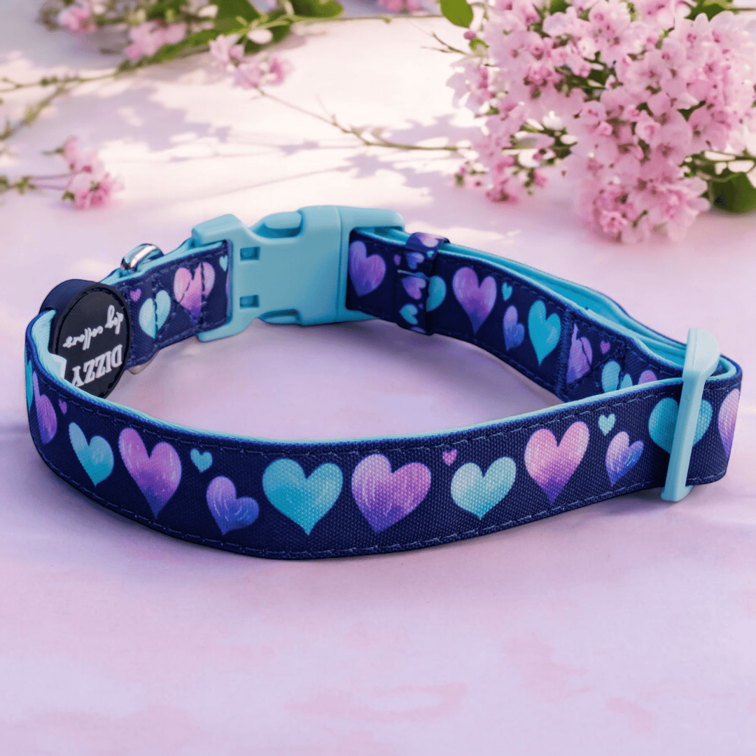 Hearts & Harmony Dog Collar | Canvas + Neoprene Dog Collar