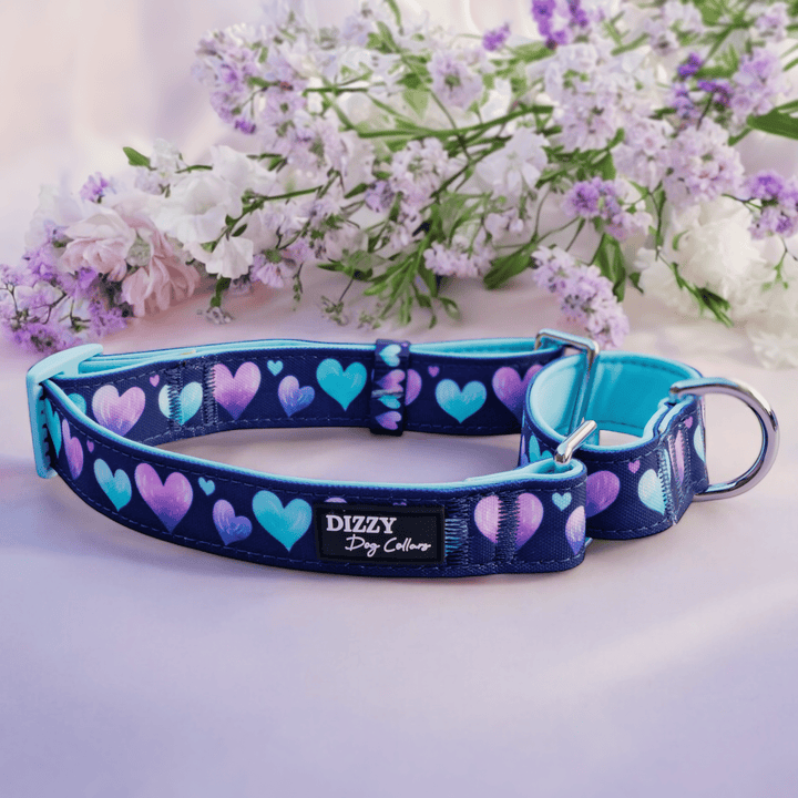 Martingale Dog Collar | Hearts & Harmony