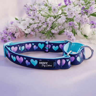 Martingale Dog Collar | Hearts & Harmony